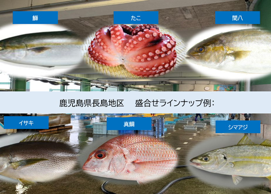 5f8a99753313d25a1b50550d
