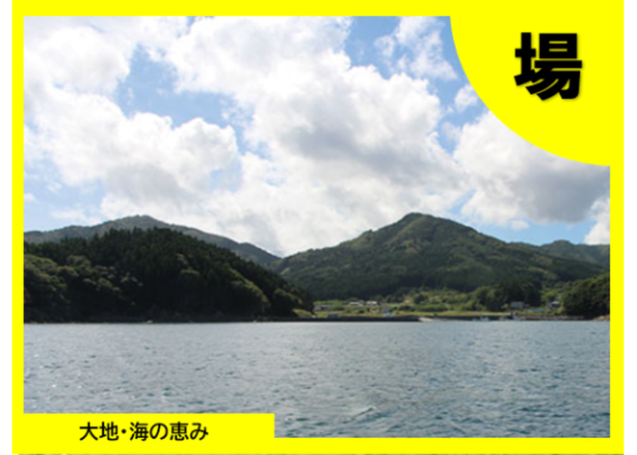 5f8a82256e8b2b1b8e3290bc