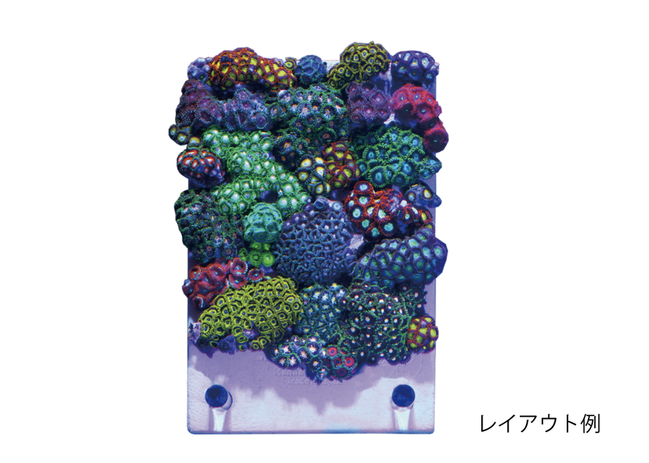 5faf9b73da019c433619db45