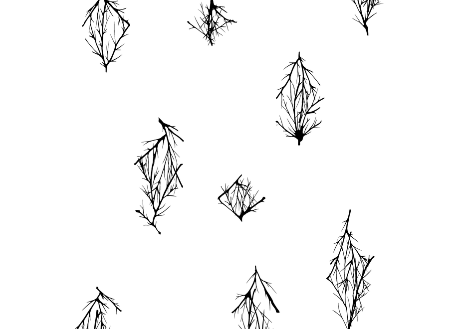 5f62ee0e3ae0f47b194c7f8c