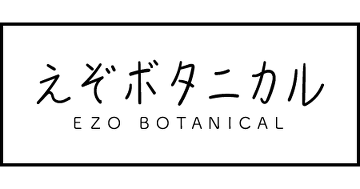 ezobota.shop