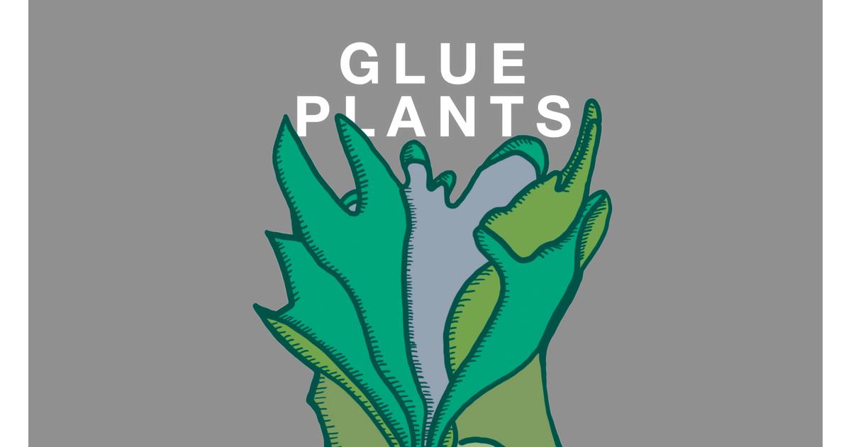 ITEM GLUE_PLANTS STORE