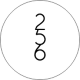 256 ONLINE STORES
