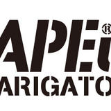 SAPEur