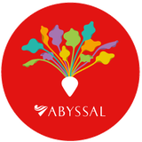 Abyssal Online Store