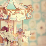 my colors