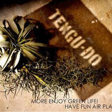 air-plants TENGU-DO