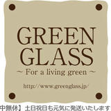 GREEN GLASS