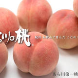あら川第一桃生産組合