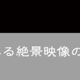 SHARATA/写新