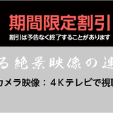 SHARATA/写新