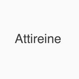 ヴィンテージアクセサリー・コスチュームジュエリー ショップ Attireine