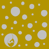 AUN COLLECTION