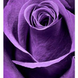 Bouquet Bijou**