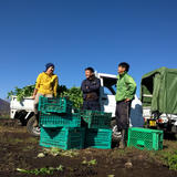 bigupfarm's STORE