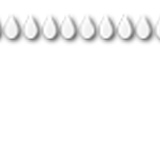 BINDU