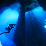 Blue Palms Dive Service Online STORE