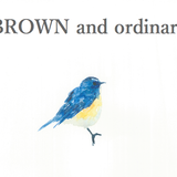 BROWN and ordinary.