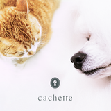cachette