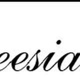 トールサイズのお店Freesia