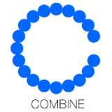 COMBINE/BAMI gallery