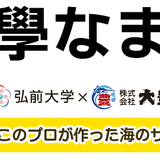 大學なまこ