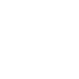 Damasquina Store