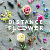 DISTANCE FLOWER