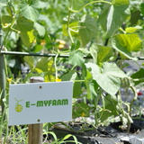 E-MYFARM STORE