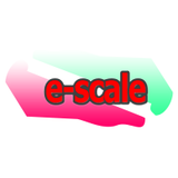 e-scale STORES.jp