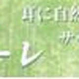 江川工房 サウンド・ナチュラーレ