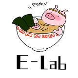 E-Lab STORE