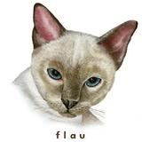 flau