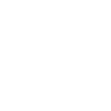 終日フラワー Delivery