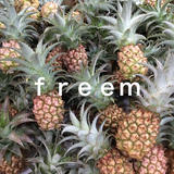 freem official