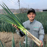 藤乃屋