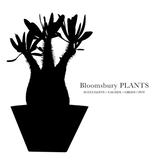 Bloomsbury PLANTS