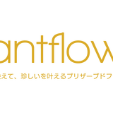 お洒落で、映えて、珍しいを叶えるプリザーブドフラワーのgrantflower