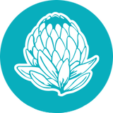 HaLEMU ONLINESTORE