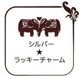シルバー✩ラッキーチャーム