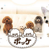 犬用品・犬グッズ通販ポッケ