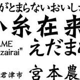 宮本農業(G)