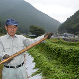 栗原ファーム