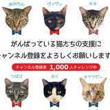 保護ねこの家SHOP