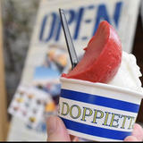 La DOPPIETTA 本格ジェラート ECサイト