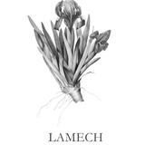 LAMECH