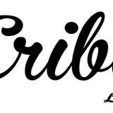 Life Size Cribe