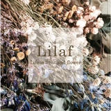 Lilaf by m.soeur