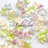 Lilii✩lea ~handmade accessory~