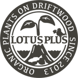 LOTUS PLUS